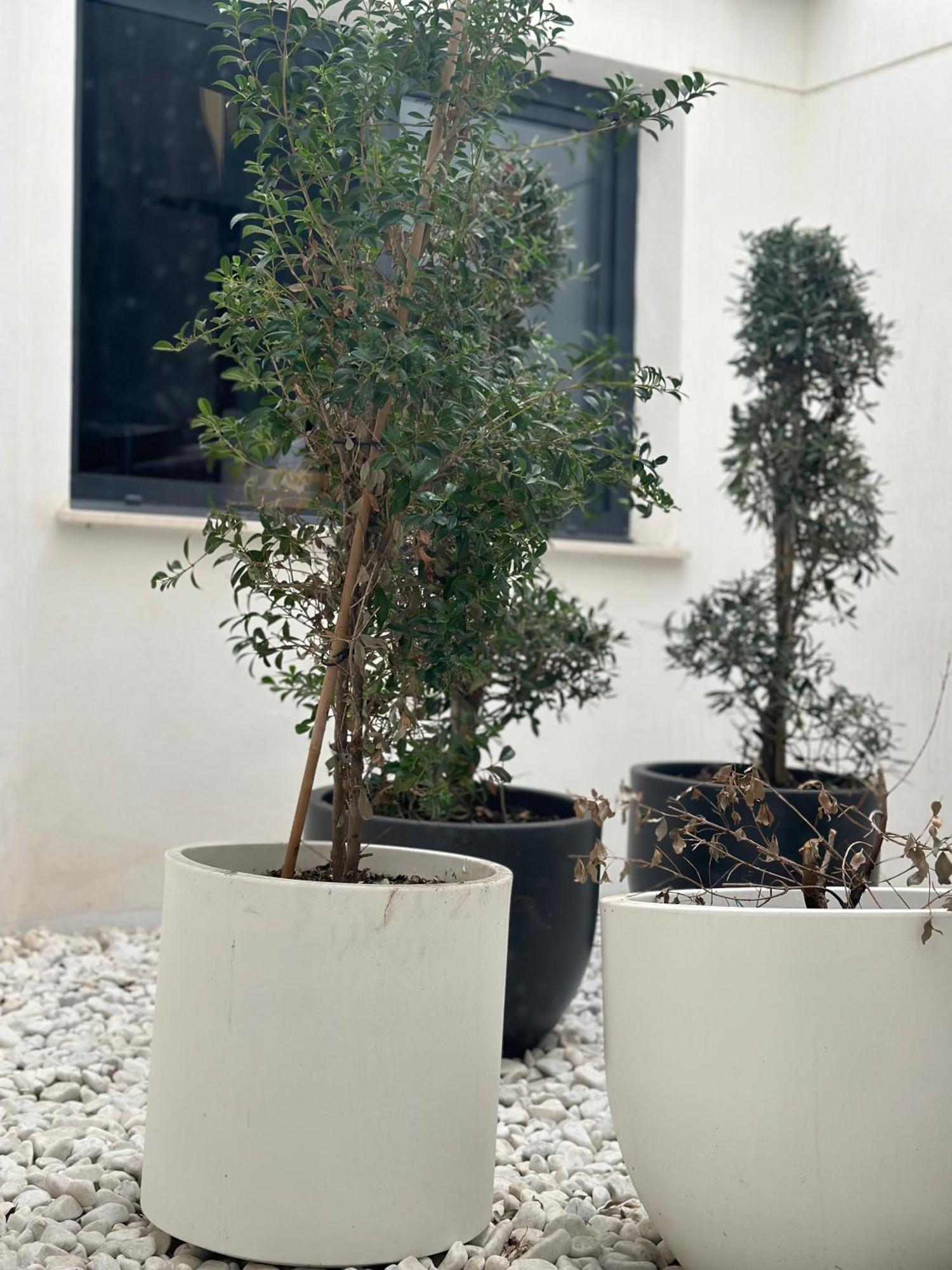 Hostel Alicante A-Cero Living Exteriör bild