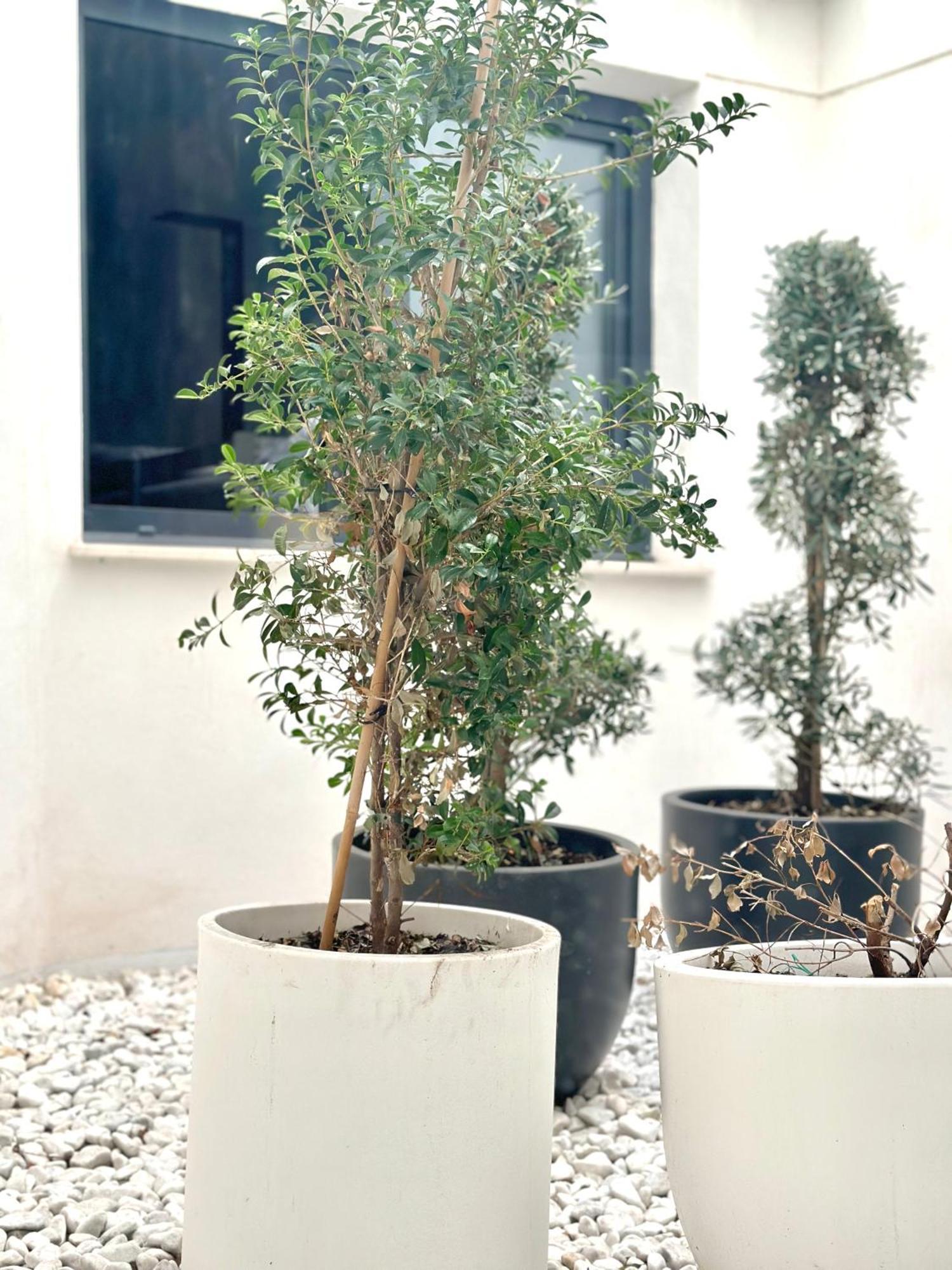Hostel Alicante A-Cero Living Exteriör bild